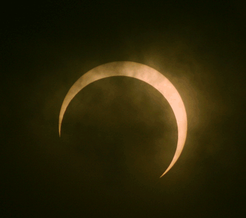 Gerhana Matahari Cincin 26 Januari 2009. Kredit: Jefferson Teng
